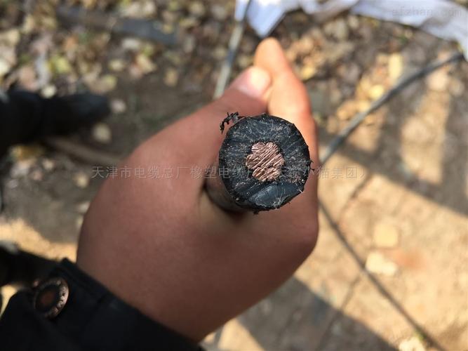 天津市电缆总厂橡塑电缆厂 精益求精，铸就电缆行业标杆